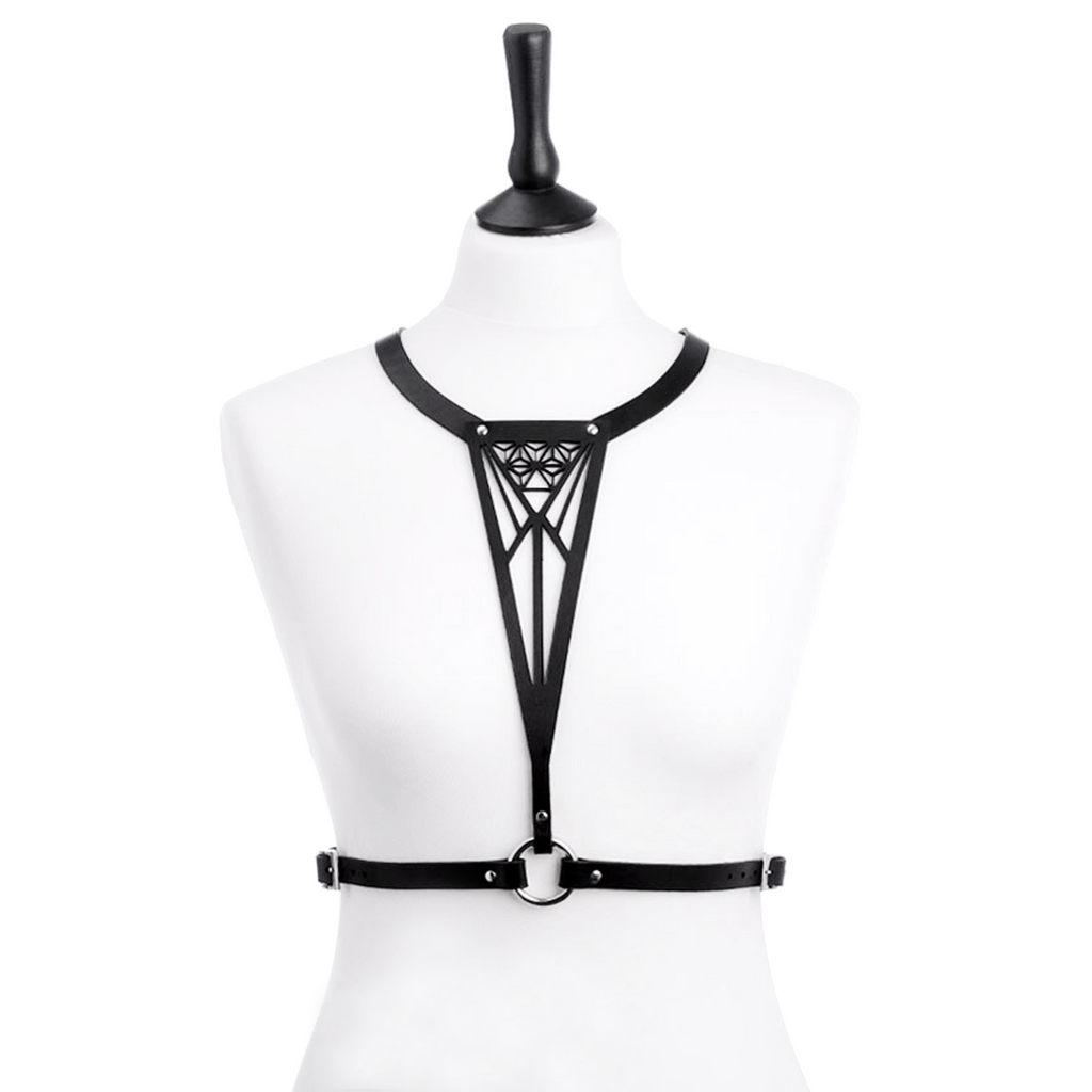 Harness bra for boudoir outfit ideas, Blasted Skin